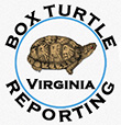 Report box turtle sightings here.