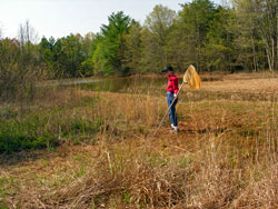 Students investigate local ecosystems.