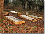 French family cemetery