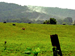 Rural Crescent Farmland