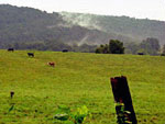 Gainesville farmland