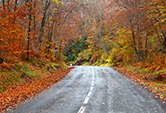 Scenic Road