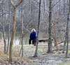 Parks provide respite from the hustle and bustle of  Northern Virginia.