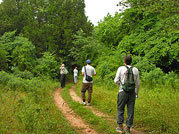 Hike Dove's Landing