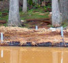 Blow out at Hellwig Park
