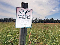 Manassas National Battlefield Park is an Important Bird Area.
