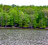 Occoquan Reservoir shoreline
