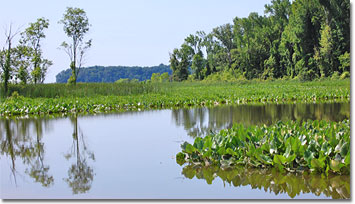 Featherstone National Wildlife Refuge