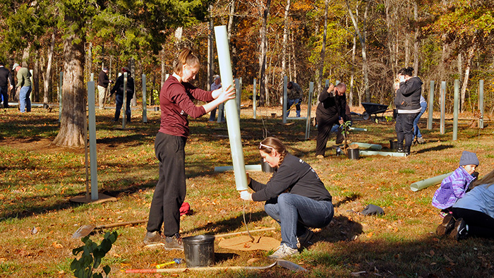 Tree planting at Silver Lake Park