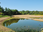 Stormwater wetland by Mullen Elementary, Manassas, VA