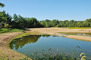 Stormwater wetland by Mullen Elementary