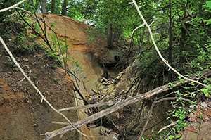 Stream in Woodbridge, VA