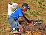 Today is a good time to plant a tree