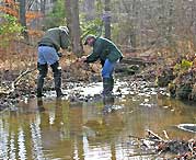 Headwaters of Powell's Creek