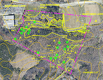 Existing Vegetation Map for Chinn Park