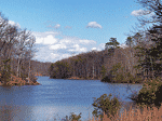 View of the Occoquan Reservoir from the Trail 