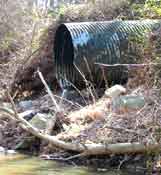 Inadequate Stormwater Pipes Degrade Local Streams, the Potomac River and the Chesapeake Bay