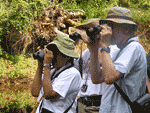 Birding Enthusiasts at Merrimac Farm