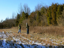 Birding Edge Habitat Near the Stone House